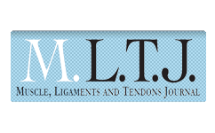 MLTJ